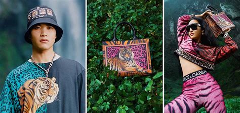 dolce gabbana year of the tiger